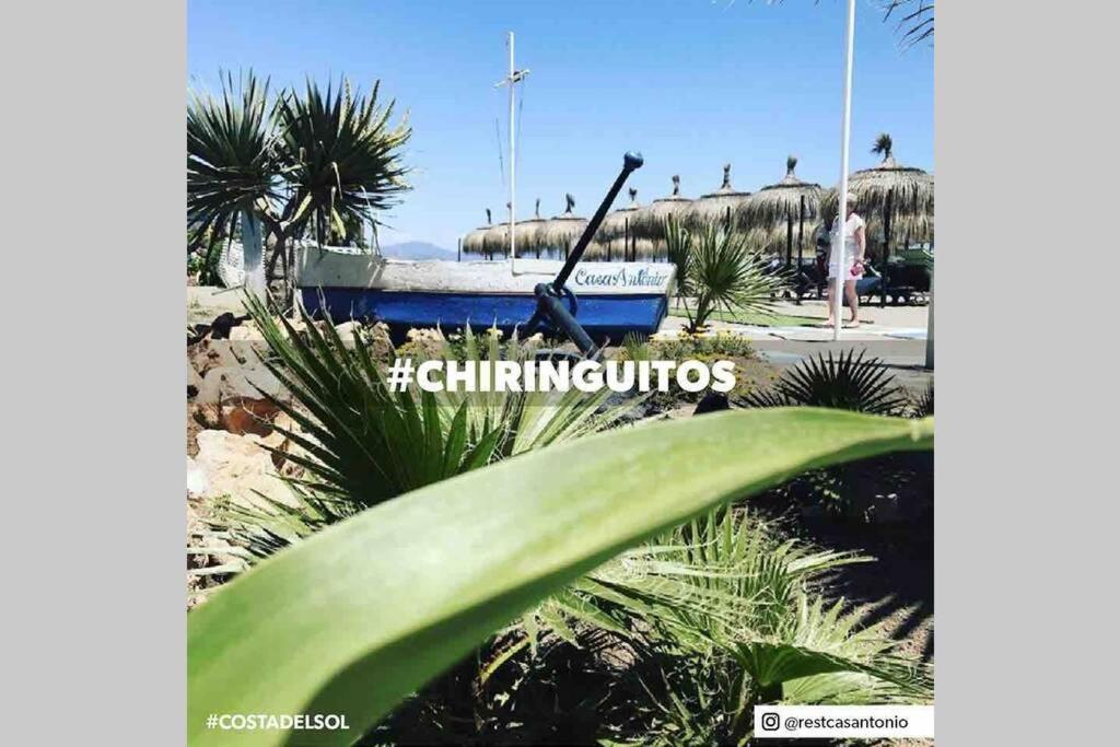 Begonia Studio 119 Torremolinos Eksteriør bilde