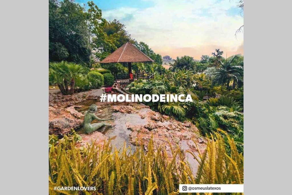 Begonia Studio 119 Torremolinos Eksteriør bilde
